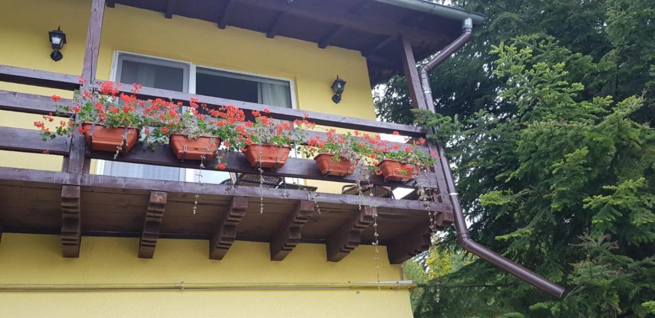 Apartamente Private A&L View Sinaia Exterior photo